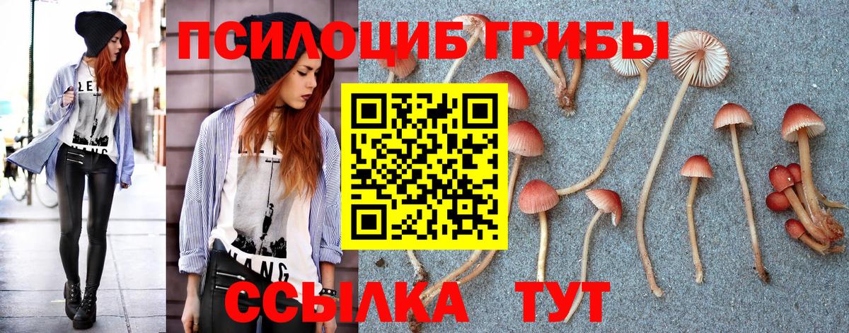Псилоцибиновые грибы Psilocybine cubensis  наркотики  Михайловск  Галлюциногенные грибы Cubensis  Вход с VPN 